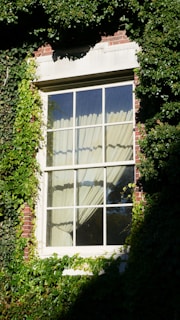 a window with a curtain and some ivy growing on it