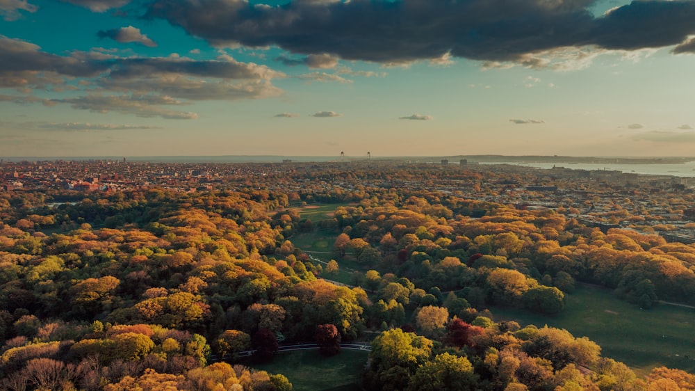 an aerial view of a city surrounded by trees