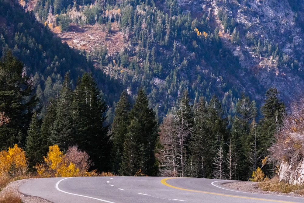 a curved road with a mountain in the background