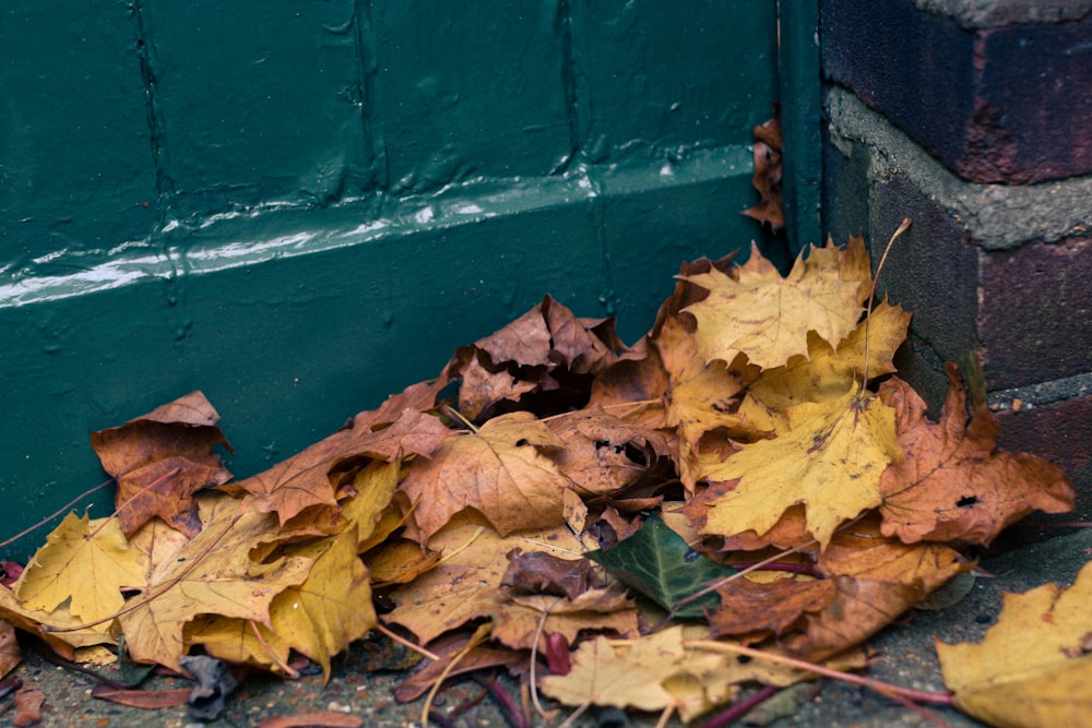 a pile of leaves on the ground next to a green door