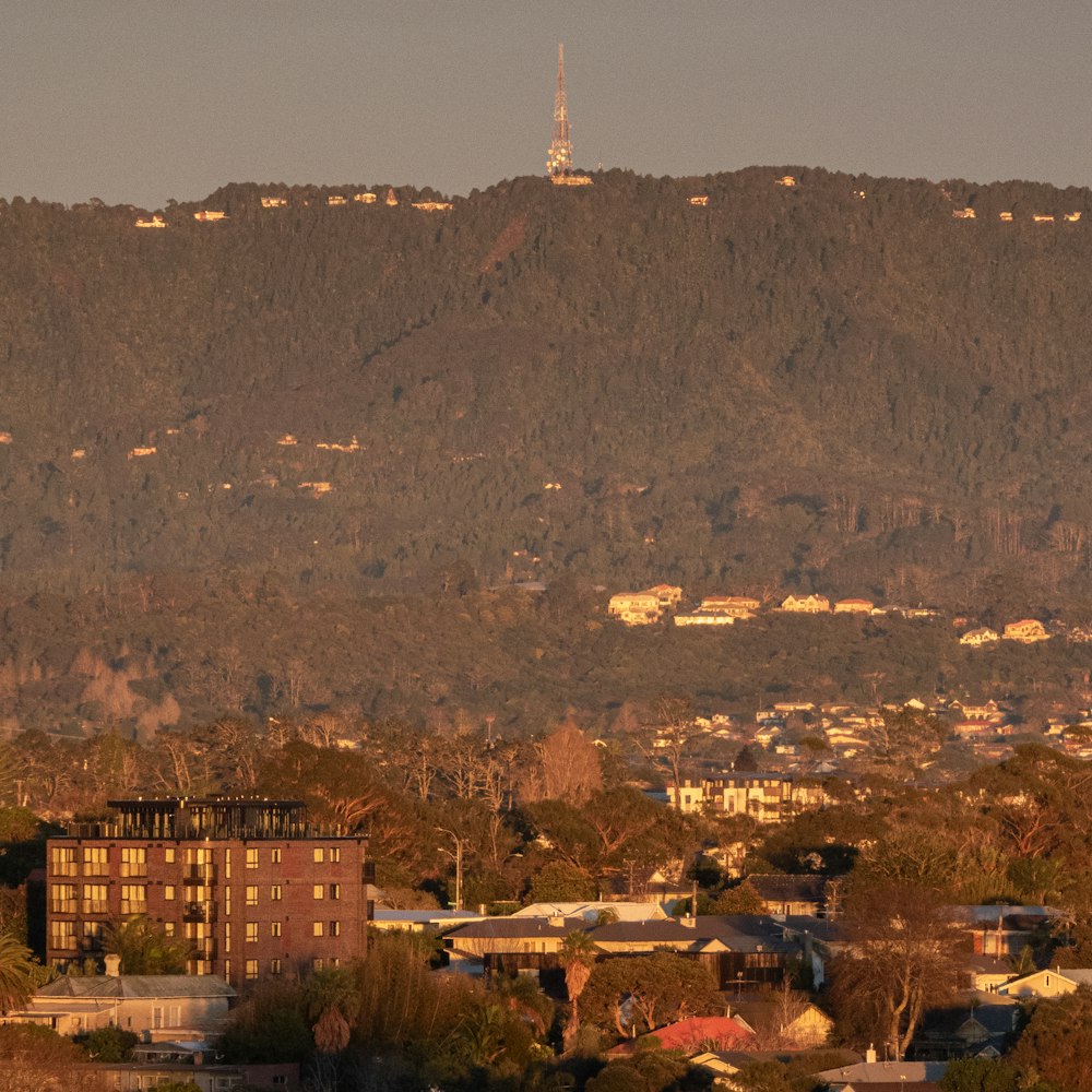 a view of a city with a mountain in the background