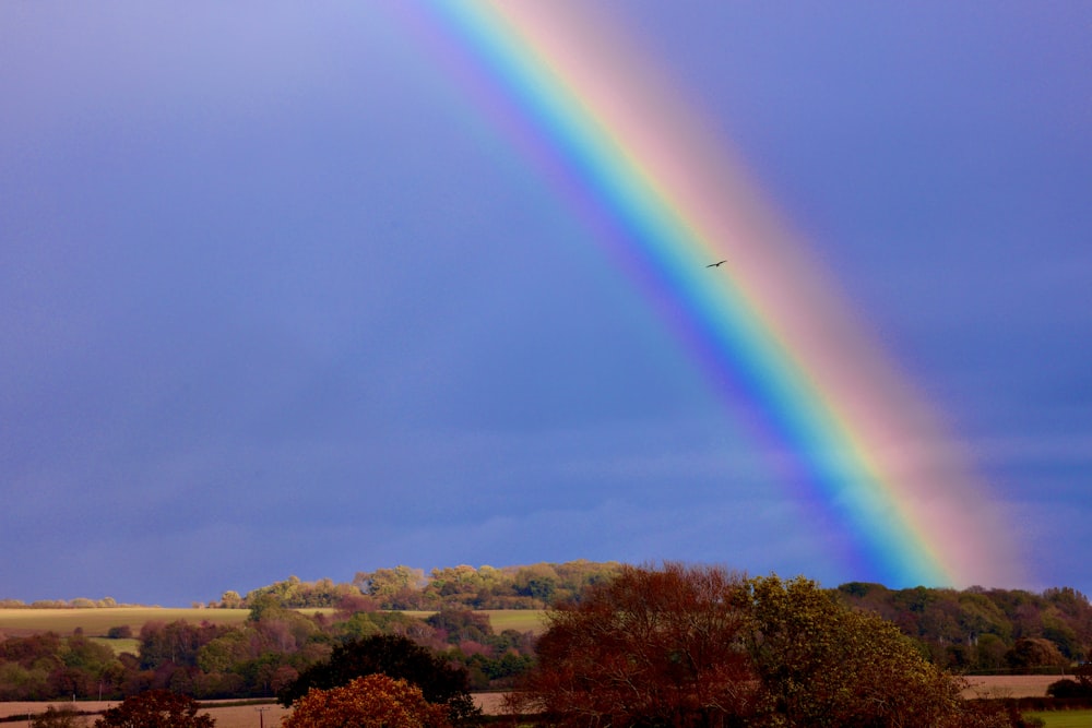 a rainbow appears in the sky over a field