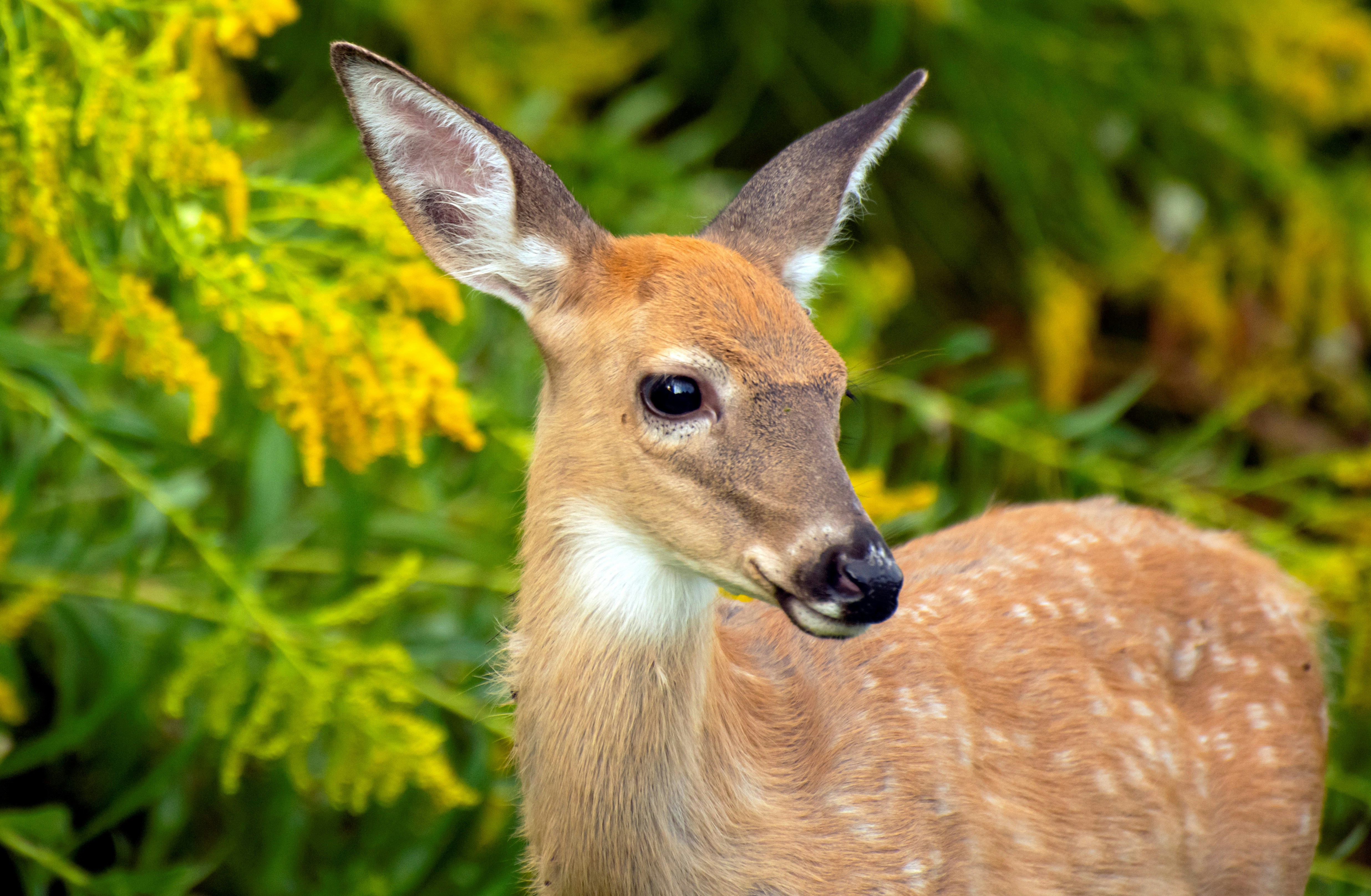 Photo by thenightafterfall