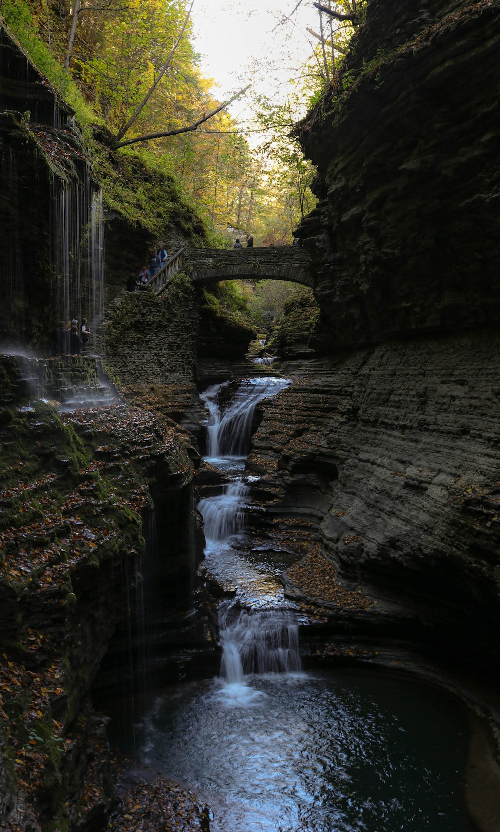 a small waterfall in the middle of a forest