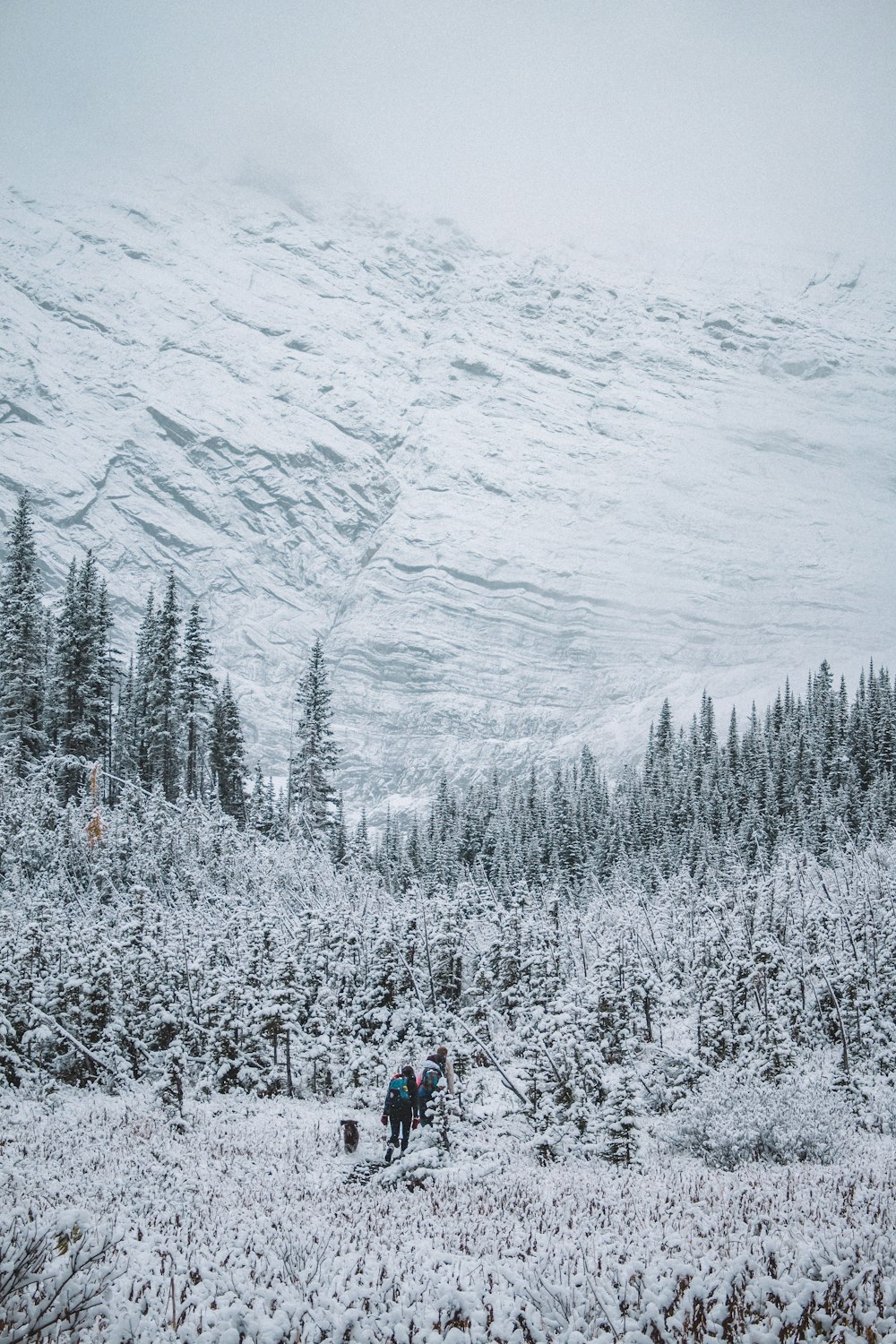 a couple of people that are standing in the snow