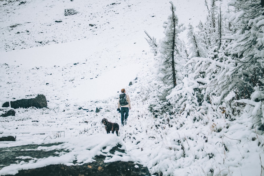 eine Person, die mit einem Hund im Schnee spazieren geht