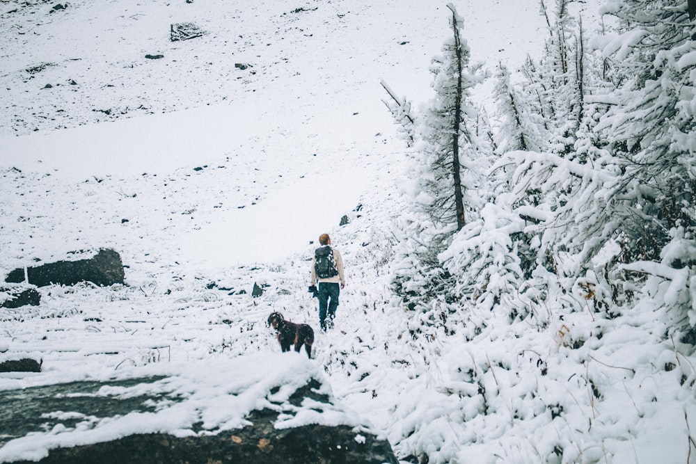 a person walking a dog in the snow