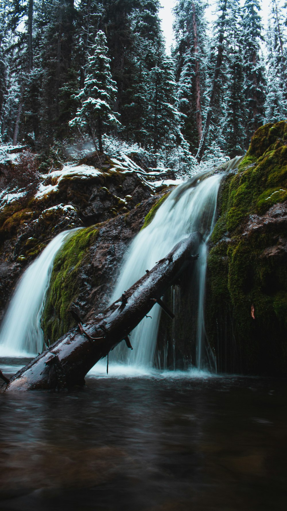 a waterfall with a fallen log in the middle of it