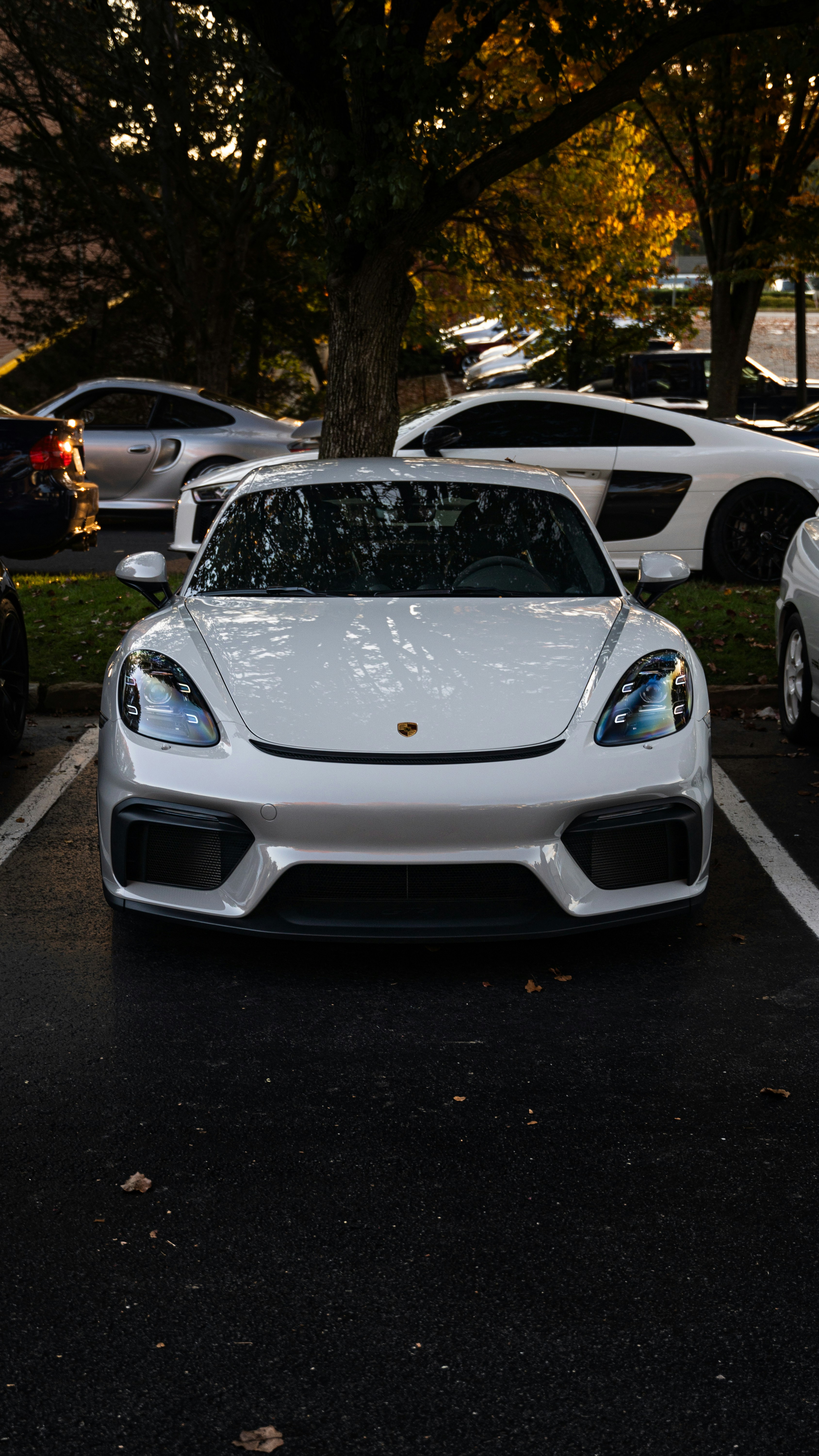 Photo by abdullah466