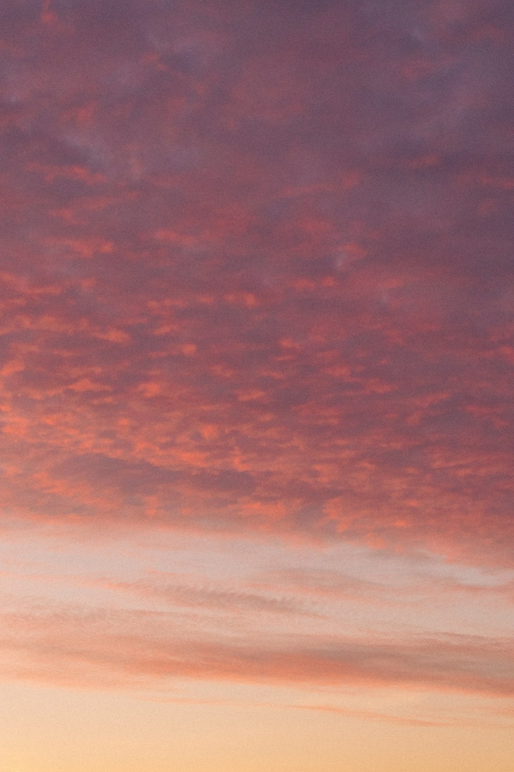 ein Flugzeug, das am Himmel fliegt