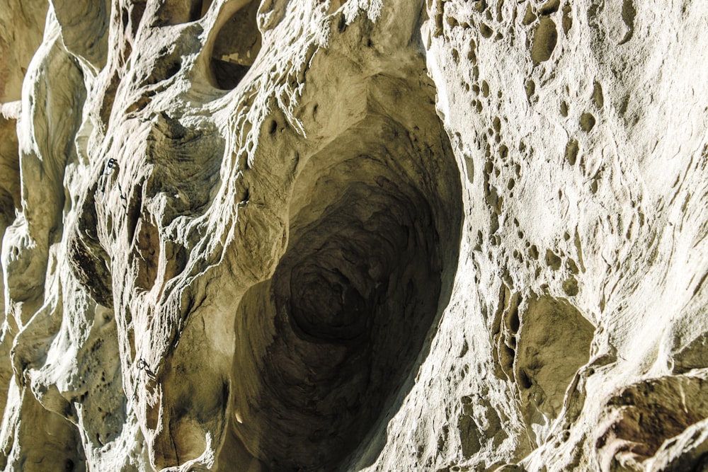 a close up of a rock formation with a bird perched on top of it