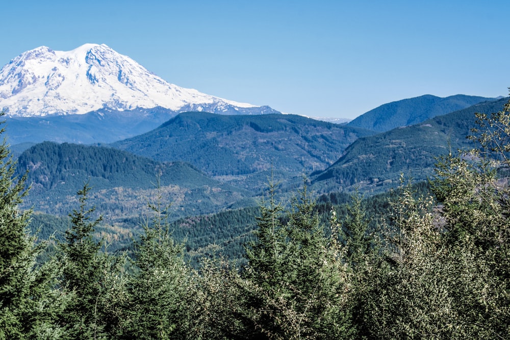 a view of a snow capped mountain in the distance