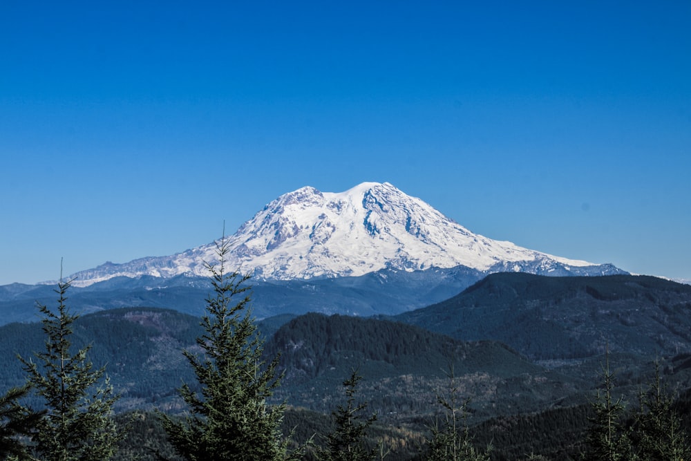 a snow covered mountain with trees in the foreground