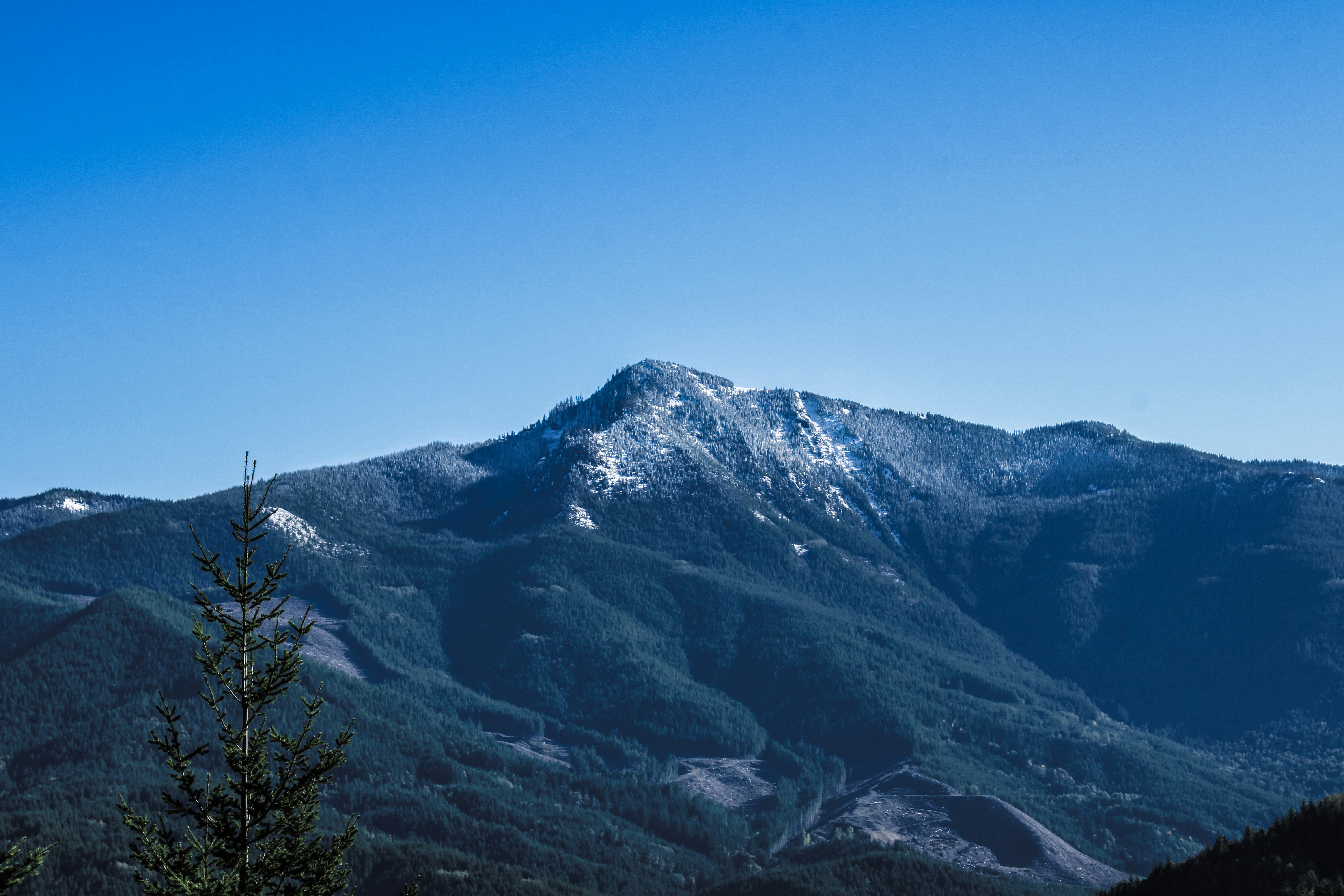 Photo by prphotography262