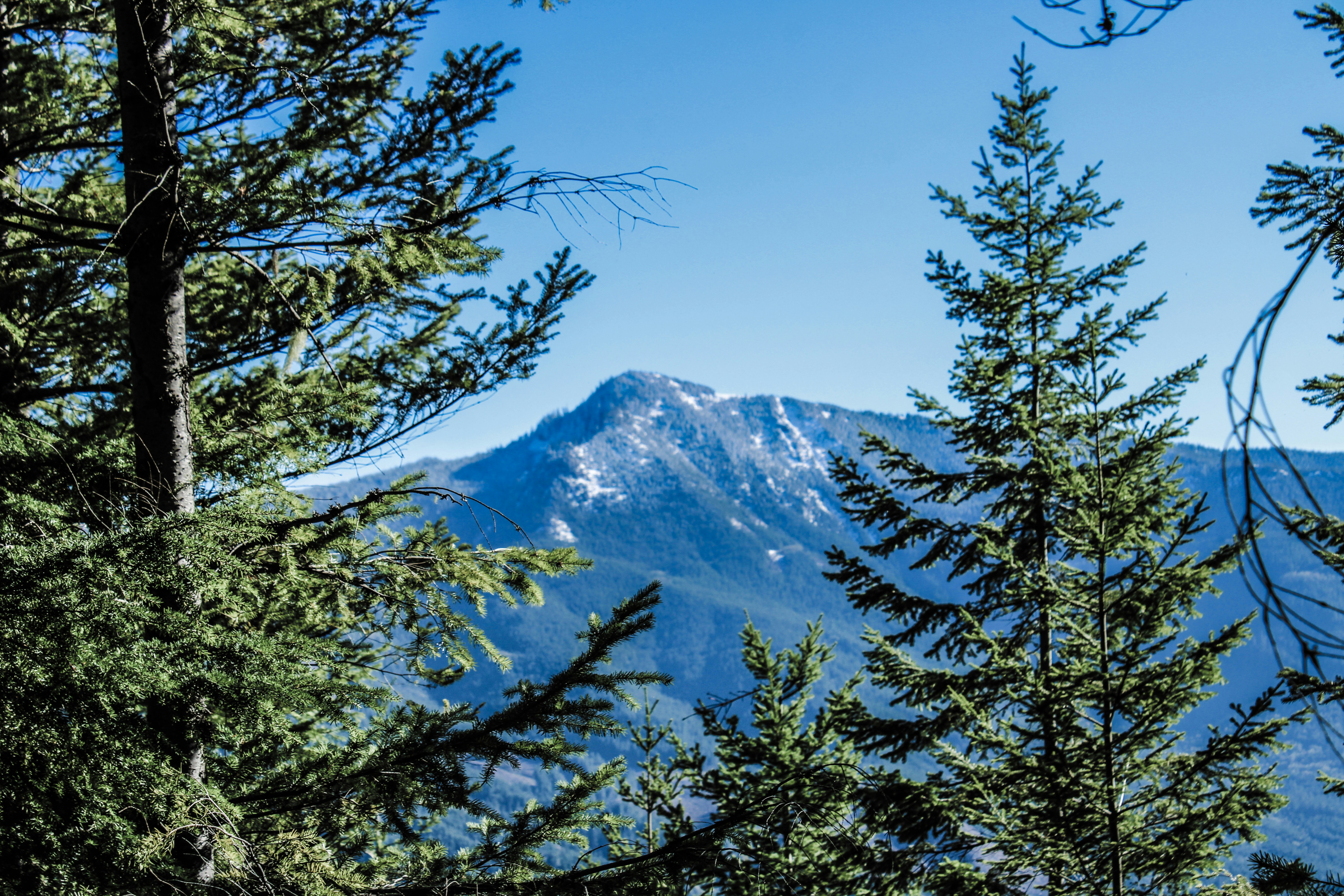 Photo by prphotography262