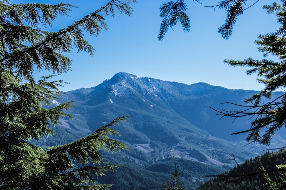 a view of a mountain range through some trees