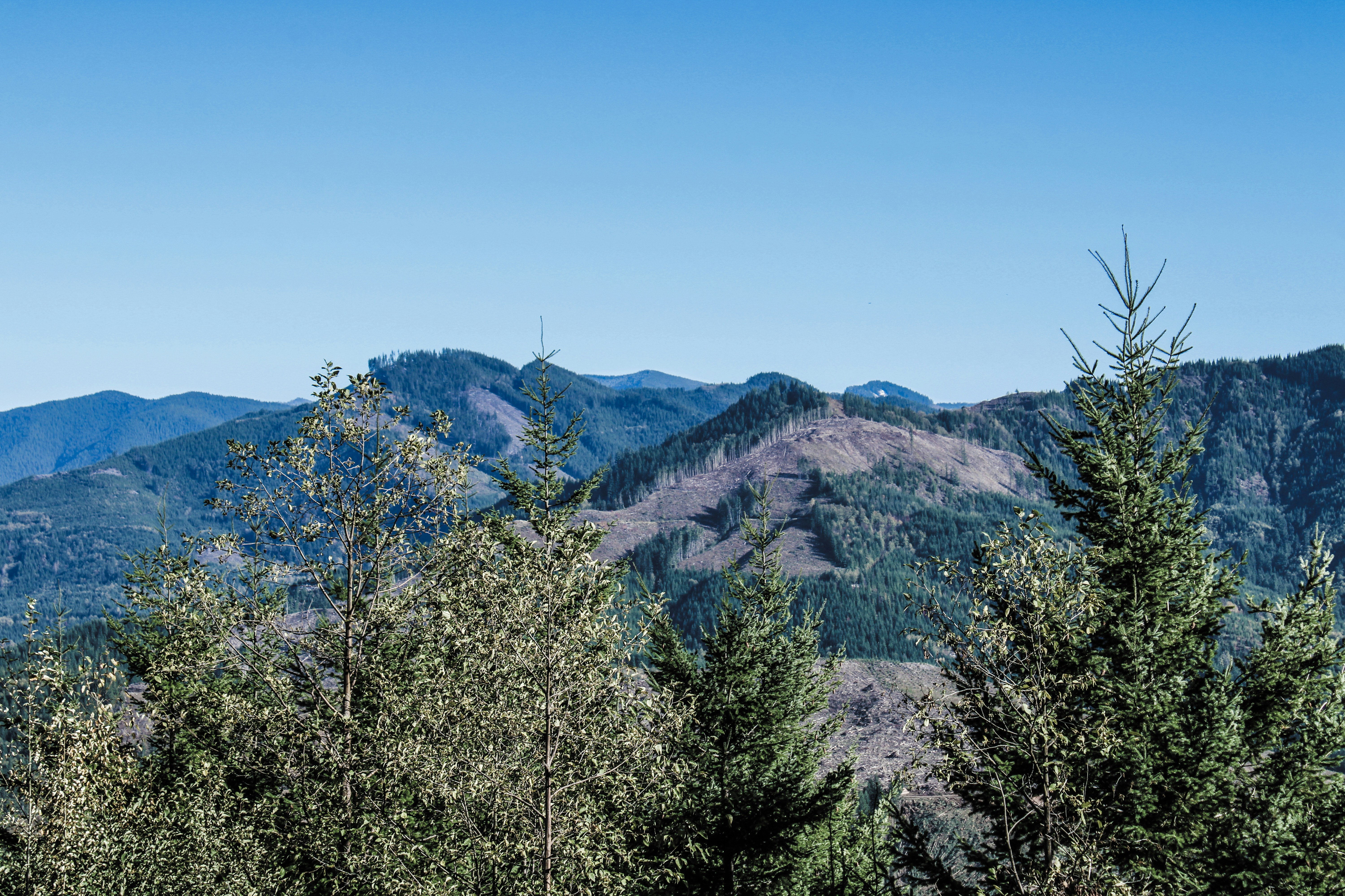 Photo by prphotography262