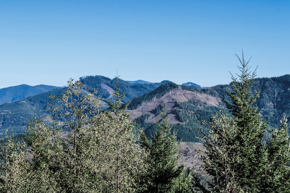 a view of a mountain range with trees in the foreground