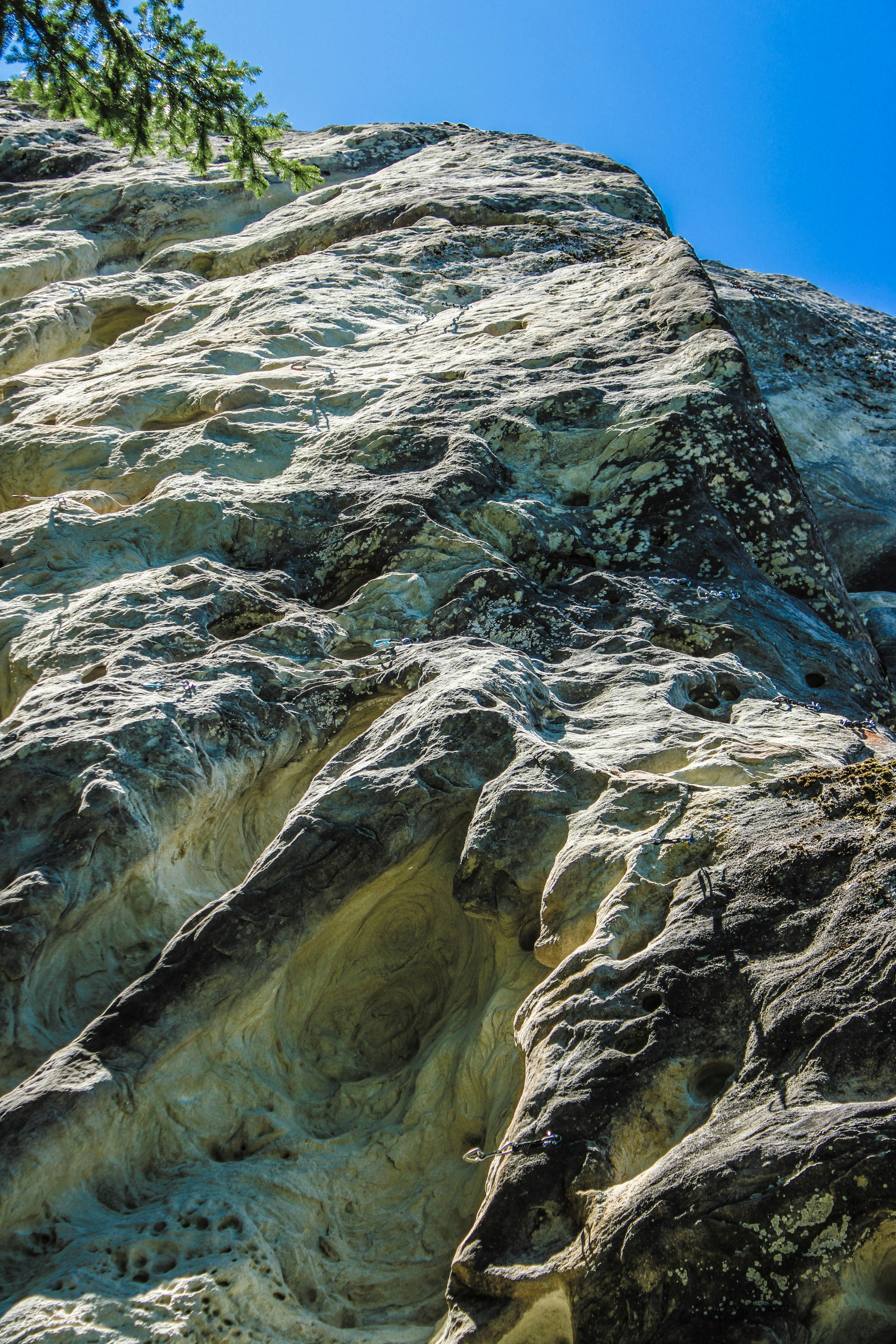 a rock face with a tree growing out of it