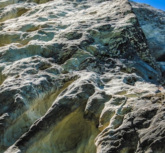 a rock face with a tree growing out of it