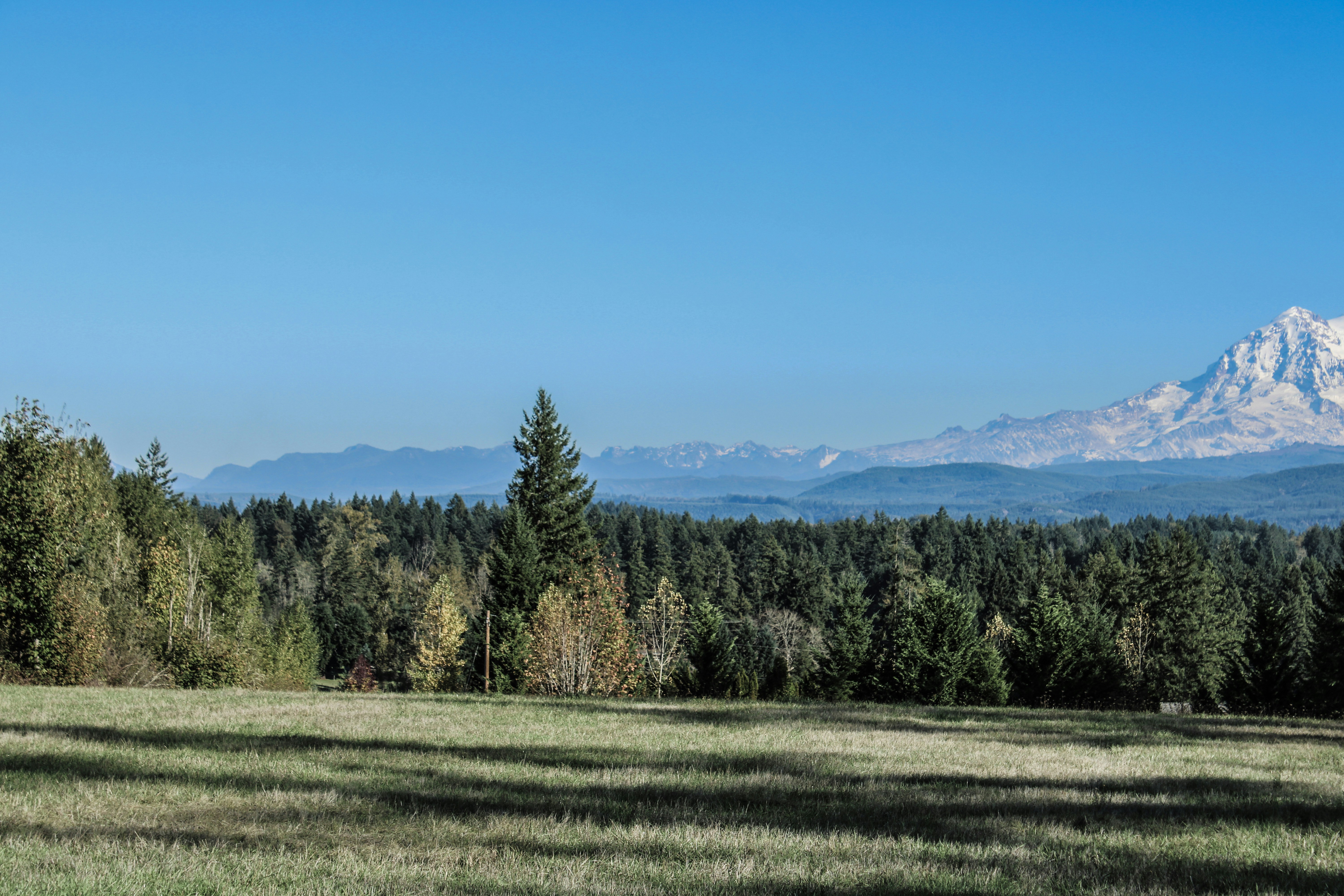 Photo by prphotography262