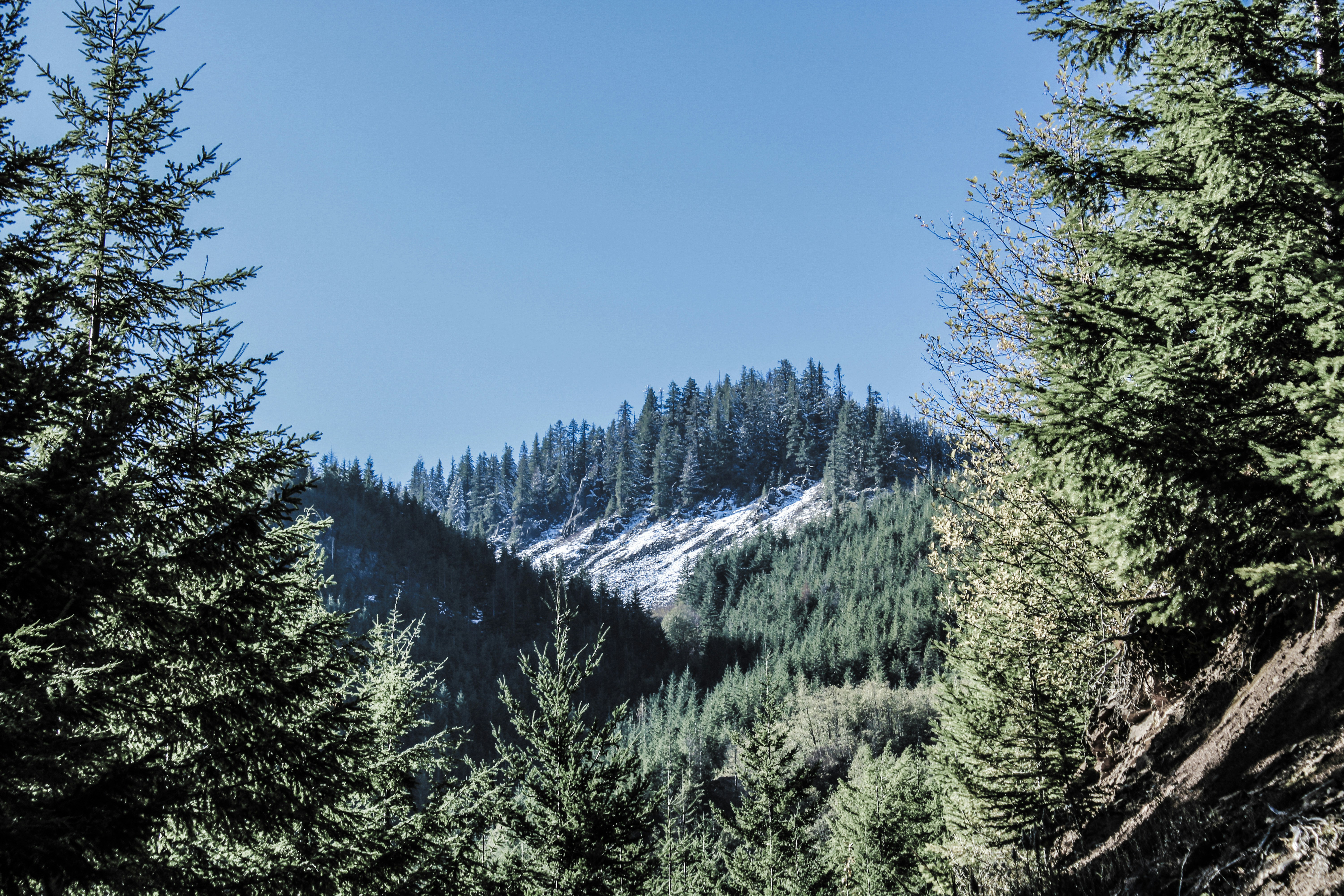 Photo by prphotography262