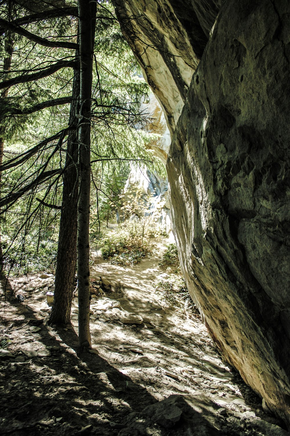 a person climbing up a rock face in the woods