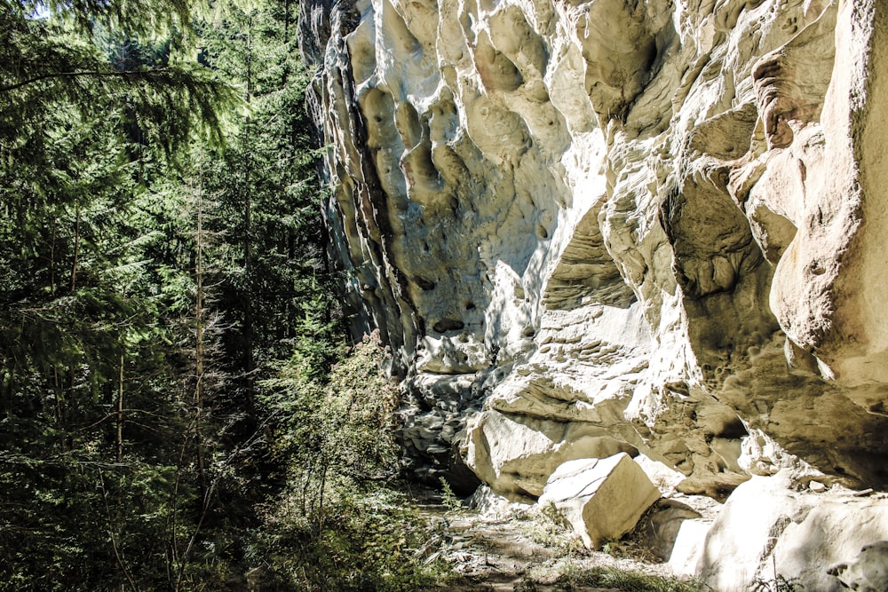 a rocky mountain side with trees and rocks