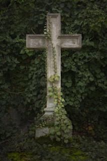 a cross is surrounded by ivy and vines