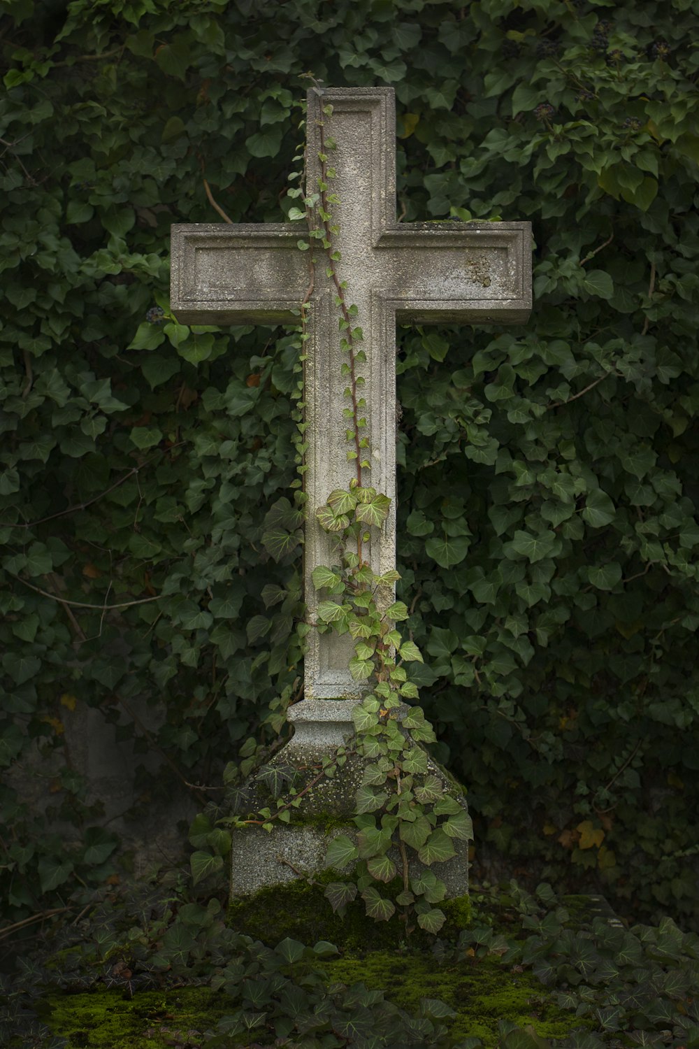 a cross is surrounded by ivy and vines