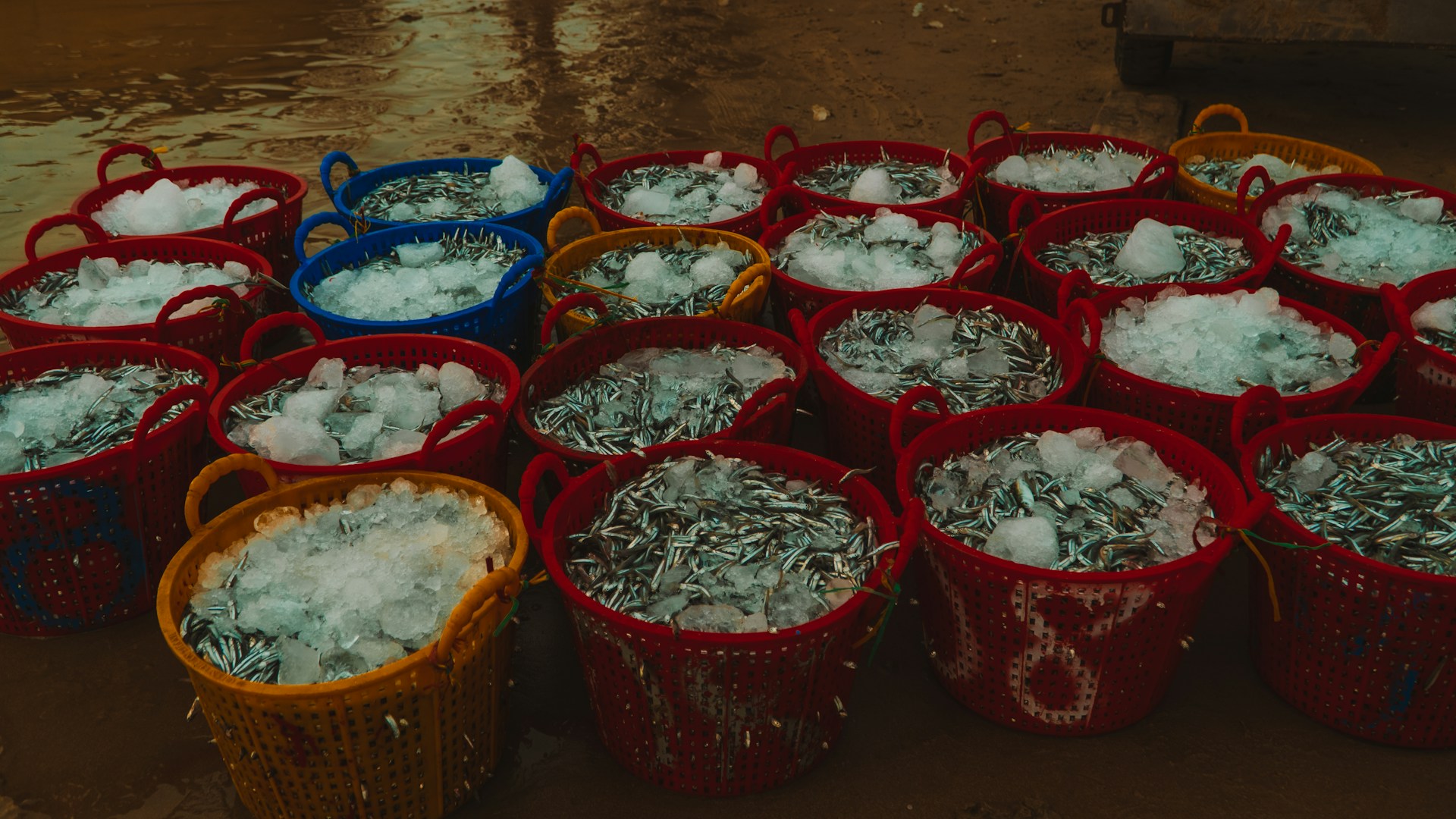 gray computer monitor