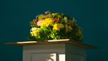 a bunch of flowers sitting on top of a table