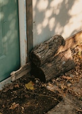 a tree that is laying on the ground next to a door