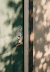 A green door with a modern keypad lockset and handle. Dappled sunlight creates soft shadows on the door and adjacent wall, enhancing the texture of the wood.