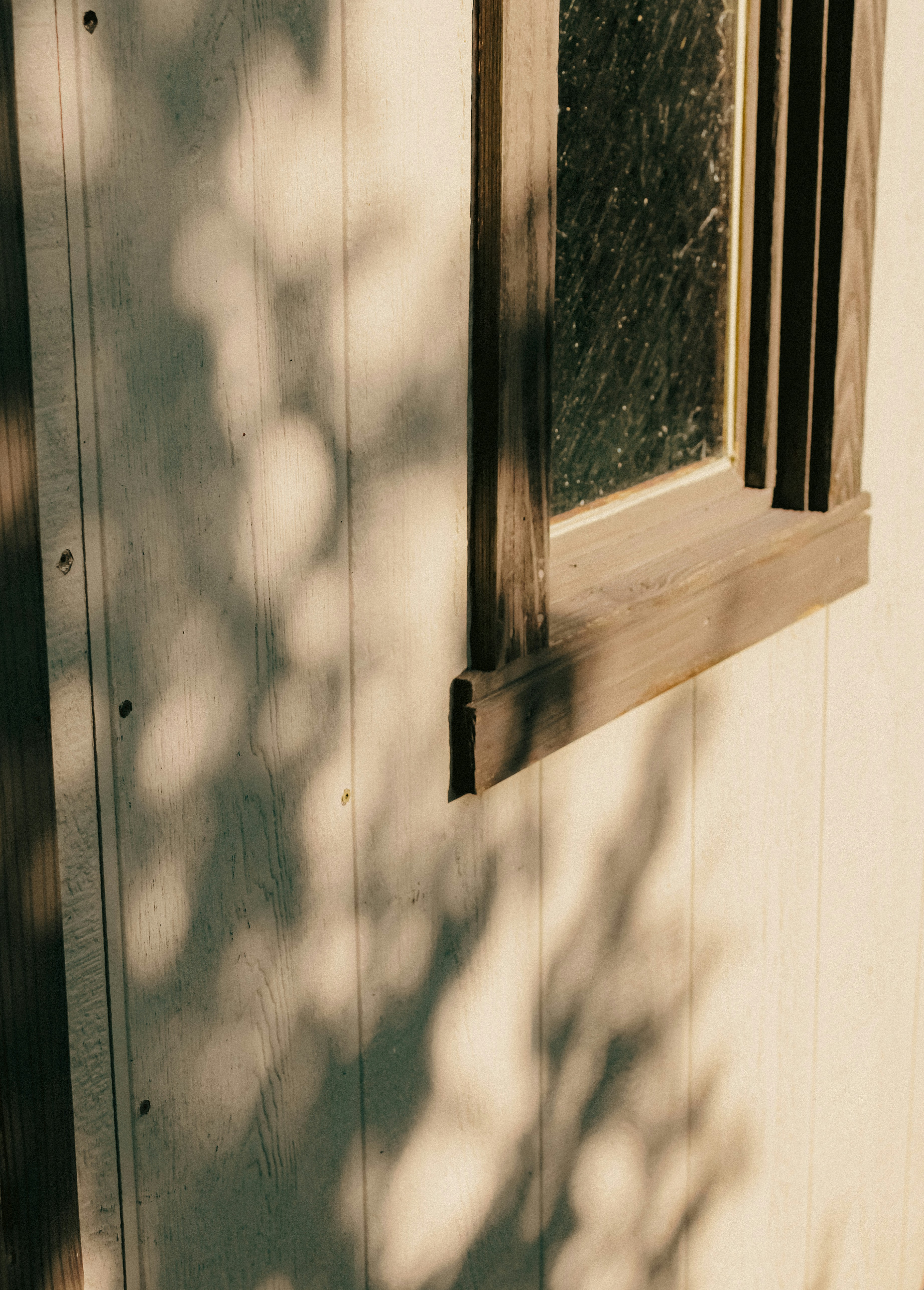 Photo by linusbelanger