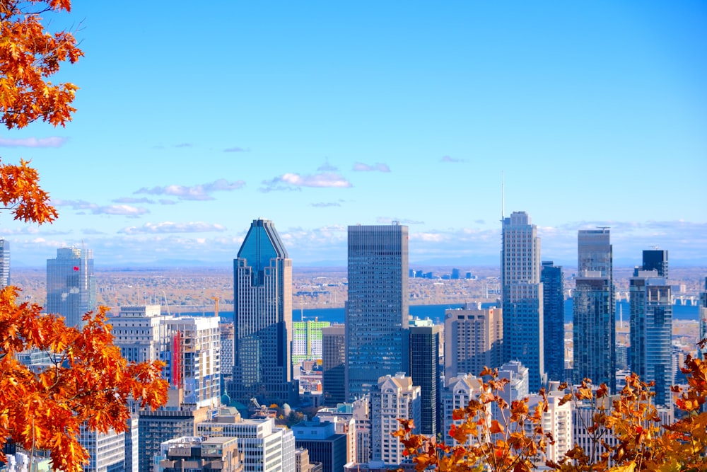 a view of a city with tall buildings