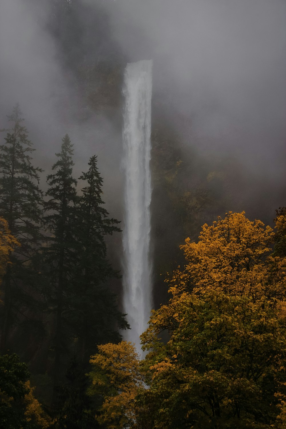 a tall waterfall in the middle of a forest