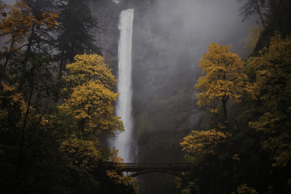 a large waterfall in the middle of a forest