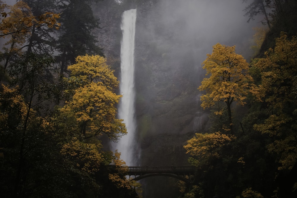 uma grande cachoeira no meio de uma floresta