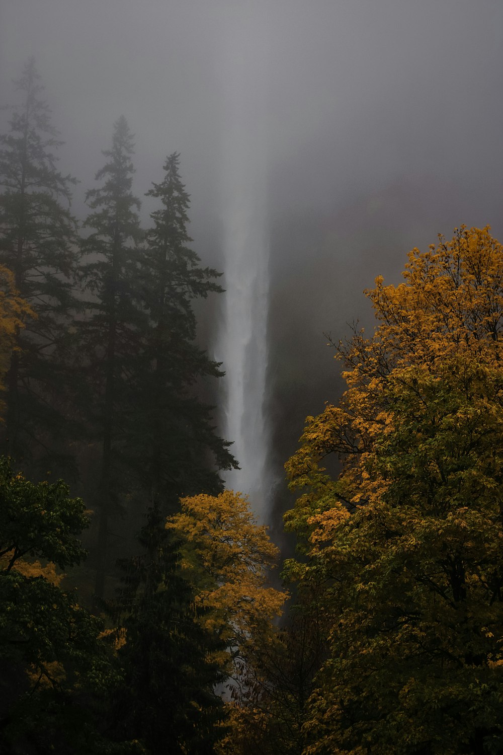 a tall waterfall in the middle of a forest