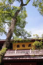 A traditional Asian architectural structure is partially obscured by a tall tree with lush green foliage. The building features a sloped roof and a decorative railing, along with a prominent yellow sign adorned with black characters. The image captures the harmony between nature and architecture under a clear blue sky.