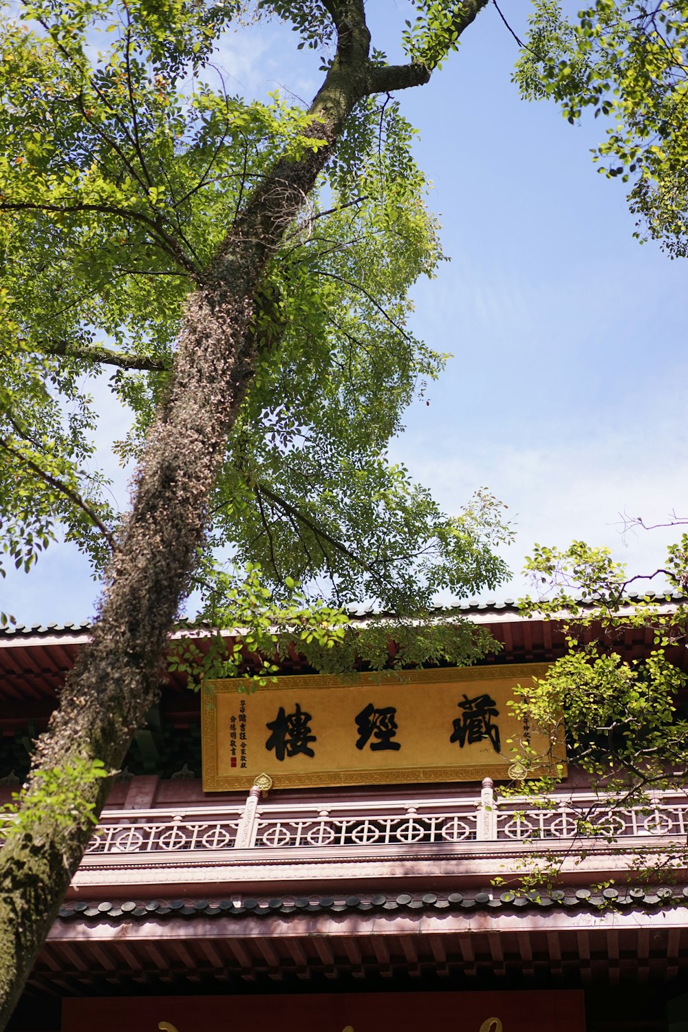 a building with a tree in front of it