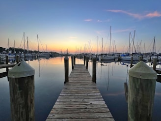A calm marina at sunset with boats moored safely, symbolizing smart decision-making.