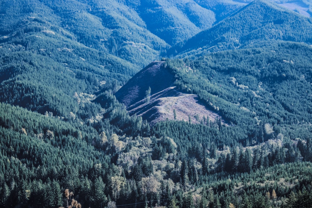 a view of a mountain range with trees in the foreground