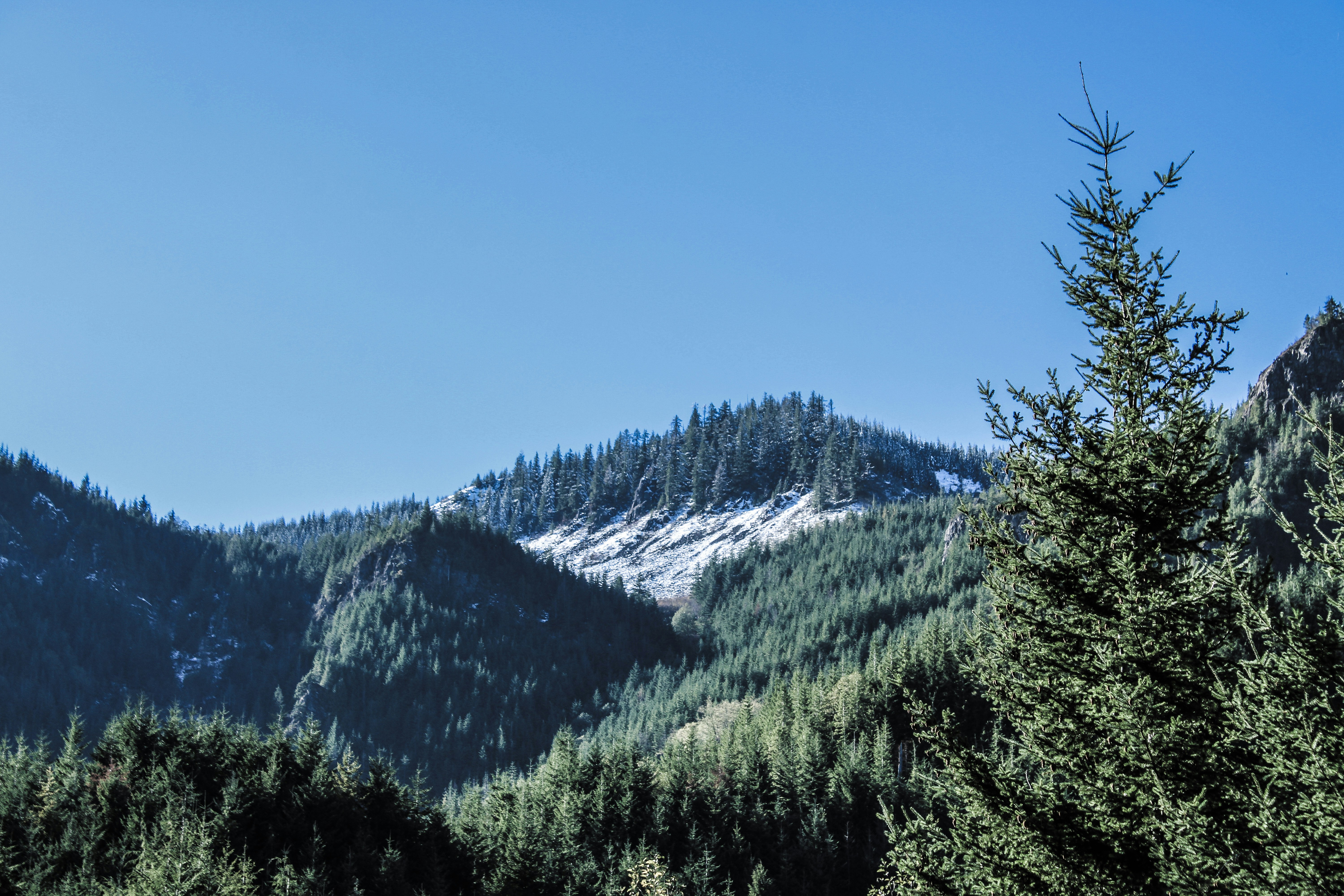 Photo by prphotography262