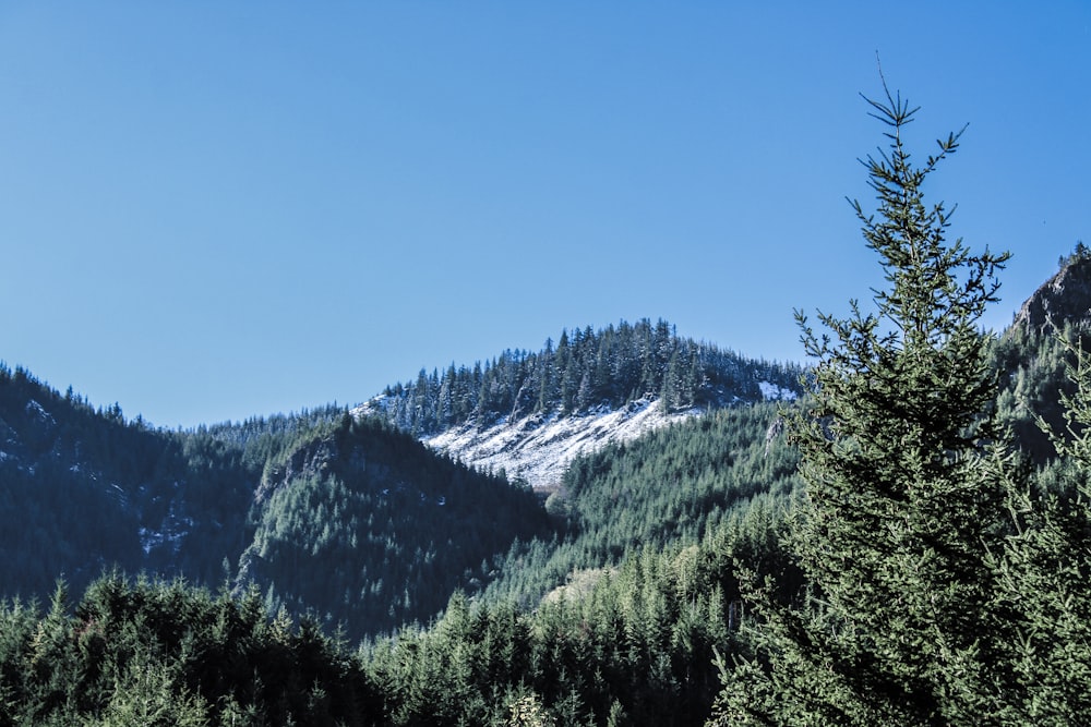 a view of a mountain range with trees in the foreground