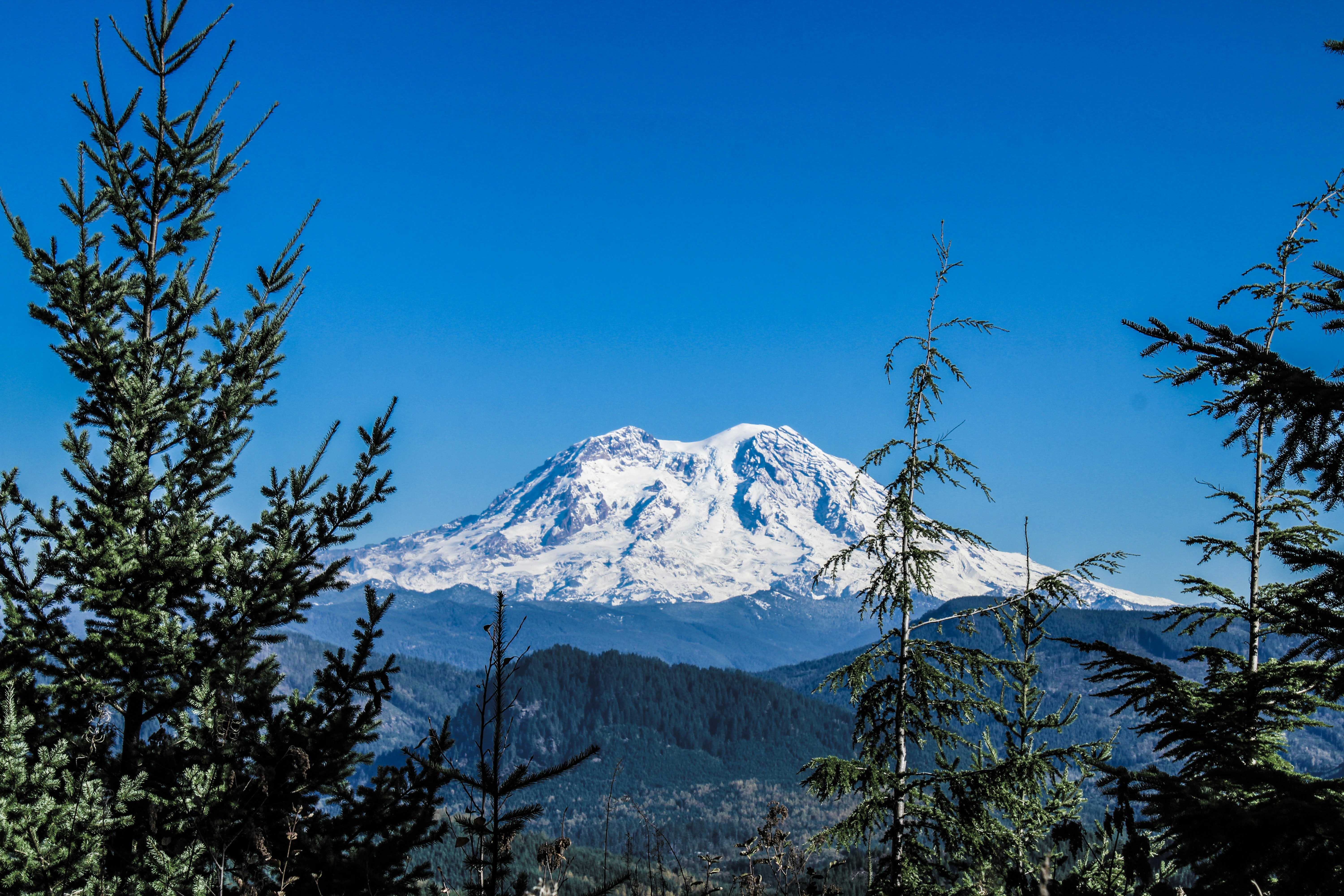 Photo by prphotography262