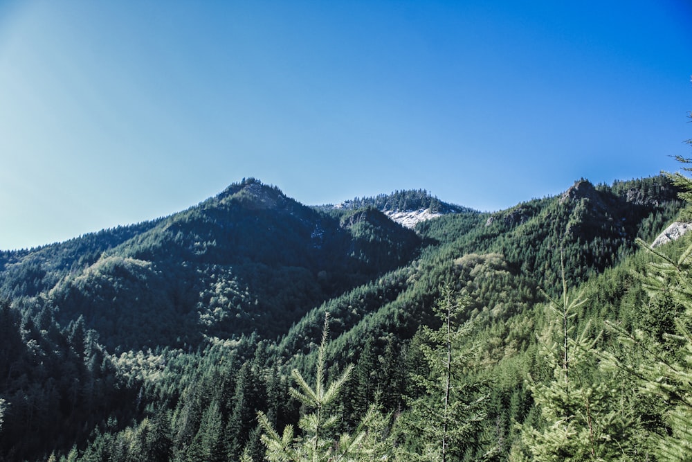 a view of a mountain range with trees and mountains in the background