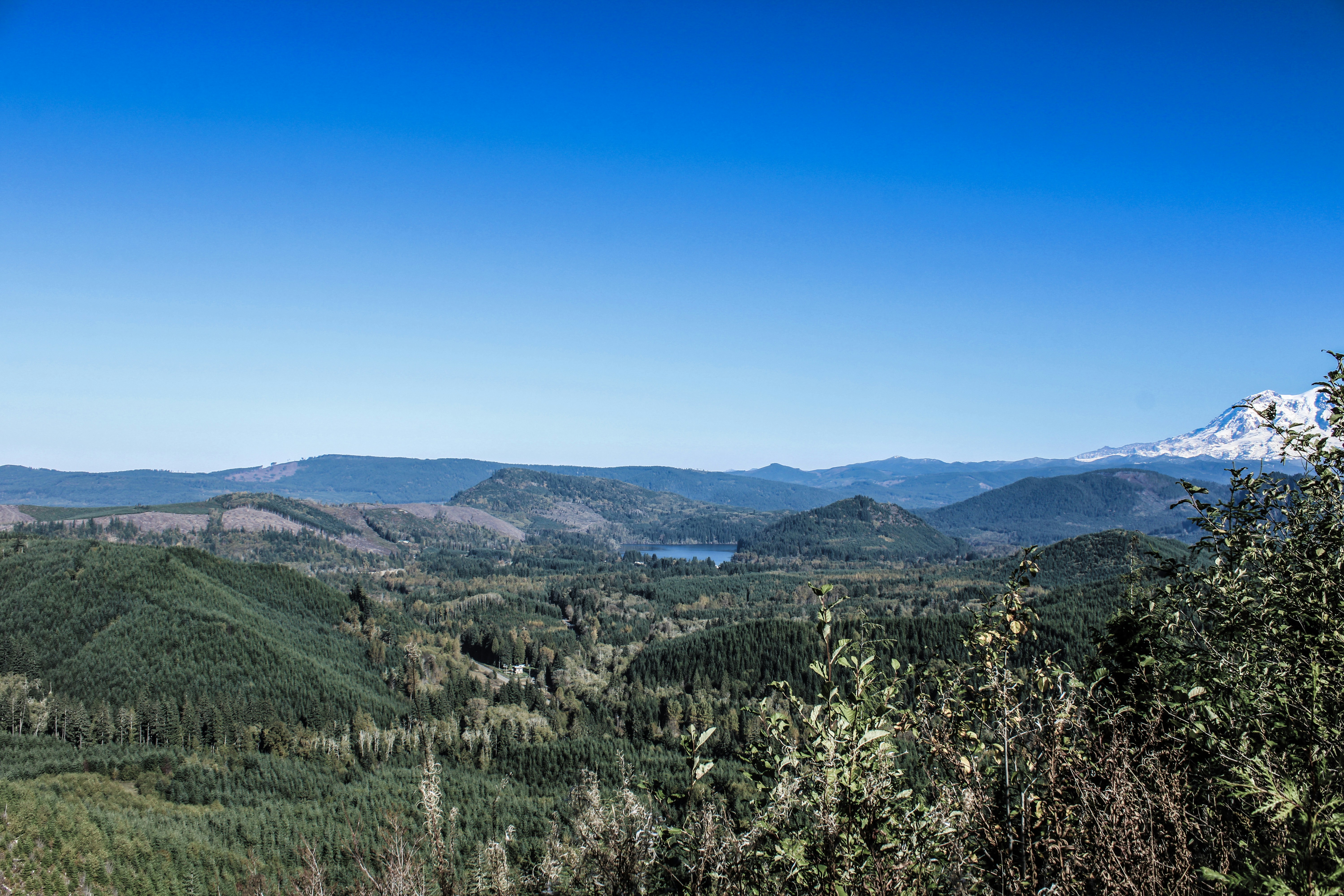 Photo by prphotography262