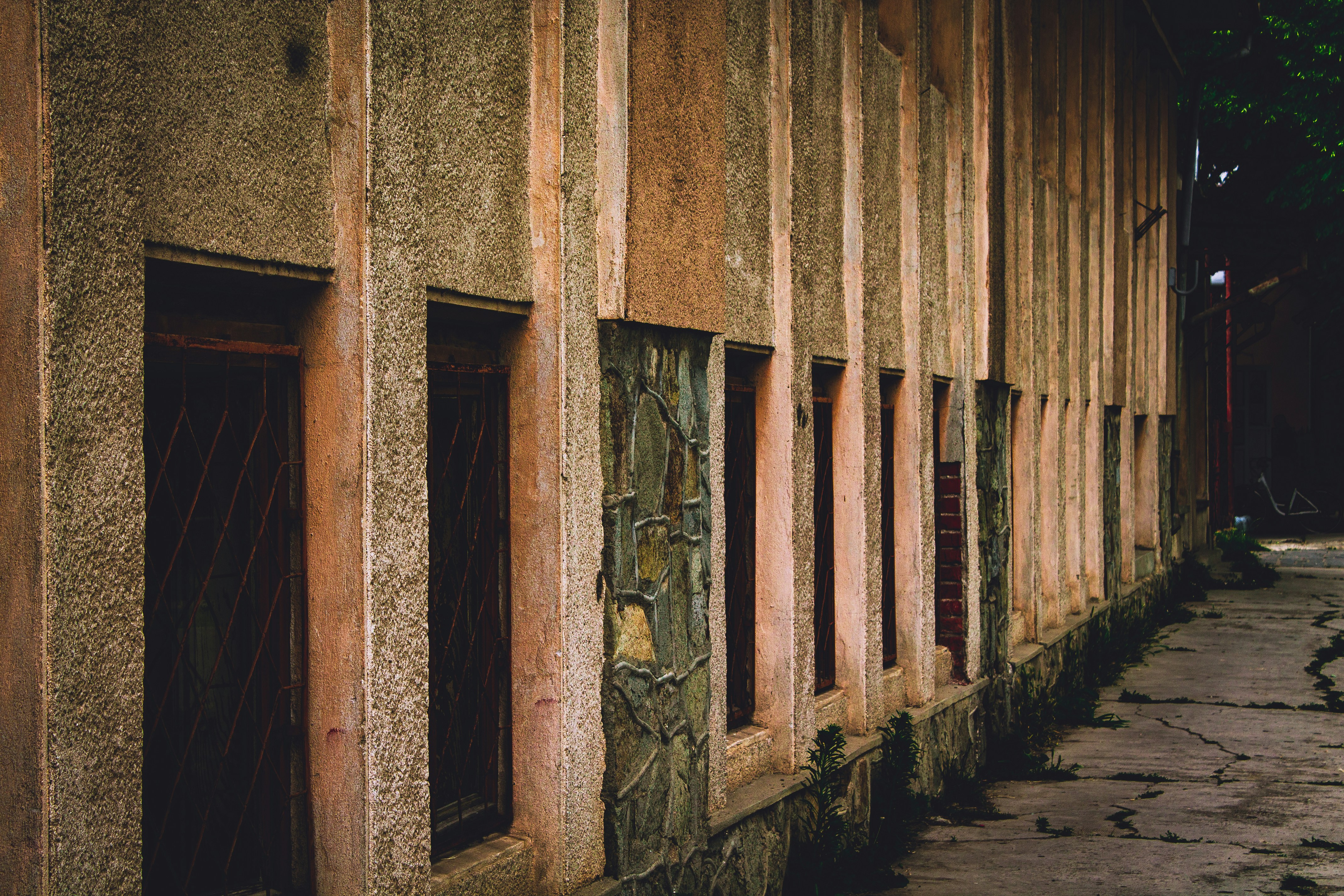 Photo by czapp_botond